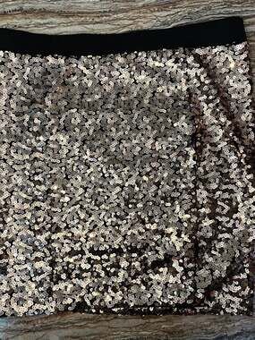Torrid Sequin Skirt Size 2X